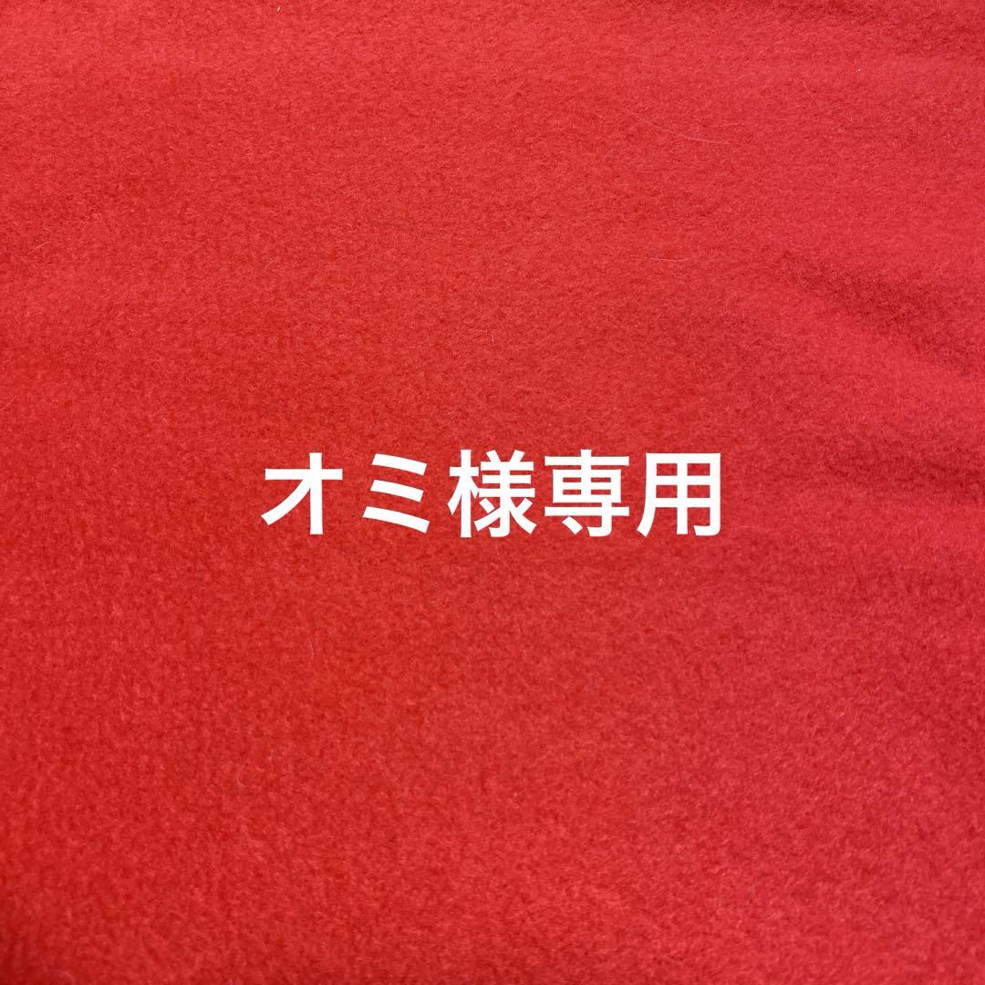 ハンドメイド　犬服　オミ