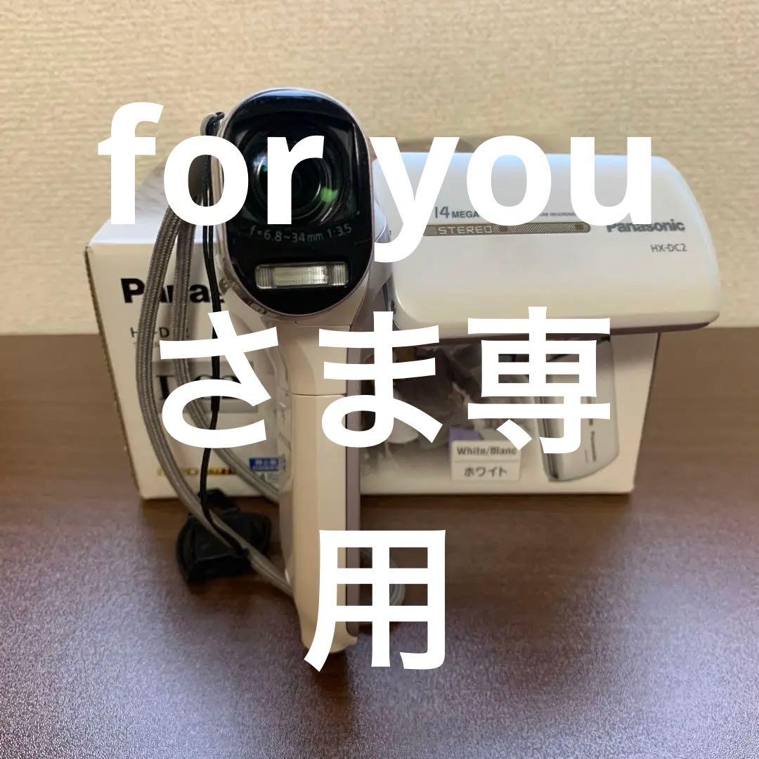 Panasonic HX-DC2 ビデオカメラ 14メガピクセル　動作確認済