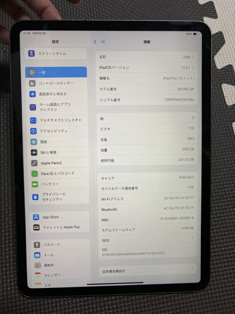Ipad pro 11インチ256GB