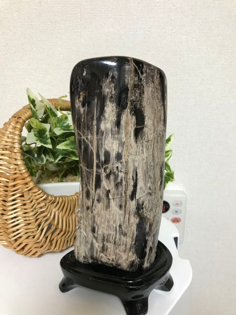 ペトリファイドウッド 珪化木
